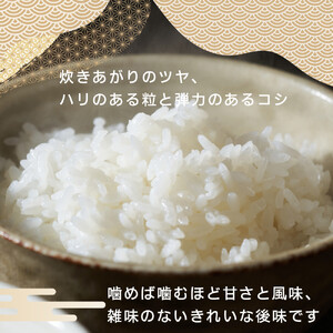 【令和7年産】ツキノワのコシヒカリ 精米 10kg ｜お米 白米 ご飯 コメ 栃木県 大田原市 