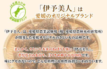 （愛媛県産）伊予美人里芋の竜田揚げ 500g×2袋【V002700】