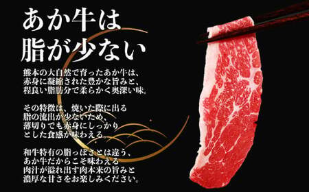 あか牛 切り落とし スライス 約500g （約250g×2パック） 赤牛 和牛 国産和牛 牛肉 お肉 肉 切落し 薄切り 小分け 熊本県 熊本市 冷凍