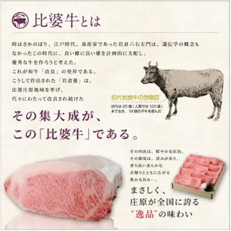 【比婆牛】A5～A4ランク　ロースステーキ　600g(200g×3枚)【配送不可地域：離島】【1150090】