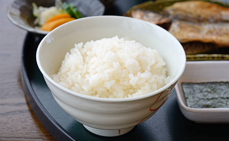 赤目滝の清流で栽培された 令和8年産 伊賀米 ミルキークイーン 5kg 精米