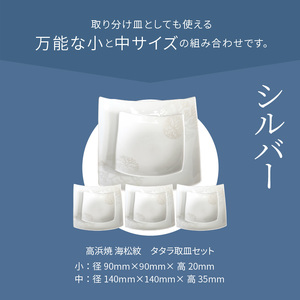 S026-114_天草 高浜焼 タタラ取皿セット シルバー4セット