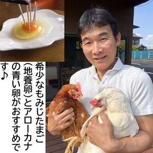 【定期便12か月】 江原ファーム　地養卵＆アローカナハーフセット（計20個）| 卵 たまご タマゴ _AG27