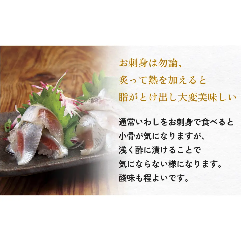とろ金華いわし酢〆フィーレ 500g 金華いわし 鰯 いわし イワシ フィレ 切身 酢締め お酢 魚 魚介 海鮮 魚介類 冷凍