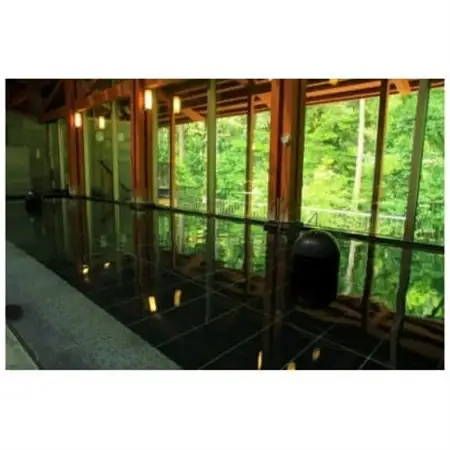 瀬音の湯入浴券　11枚セット【1391368】