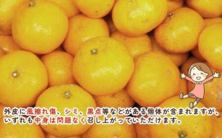 南柑20号 5.5kg ～ 6kg サイズミックス ふるくとファーム  かなこちゃんち 温州みかん 温州みかん B015-037009