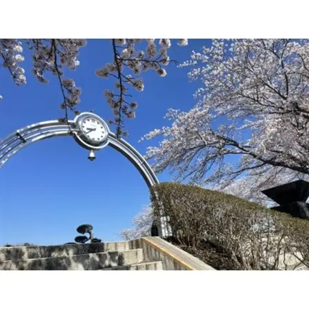 西多摩霊園　墓地購入(契約)のご利用券(150,000円分)【1515911】