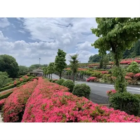 西多摩霊園　墓地購入(契約)のご利用券(300,000円分)【1515916】
