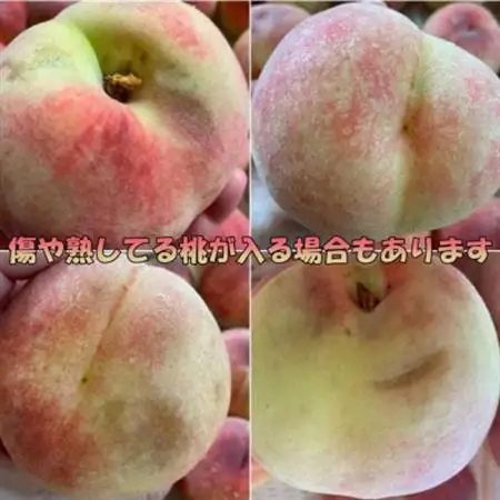 2026年発送 【訳あり】桃 2kg以上【配送不可地域：離島】【1630610】