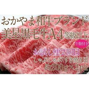 【定期便2か月】　岡山　黒毛和牛　美星牛　A４等級以上　牛脂付き　お試し定期便 合計約８００g（サーロイン約４００ｇしゃぶしゃぶすき焼き用約４００ｇ）生産者直送便  美星牧場　定期便