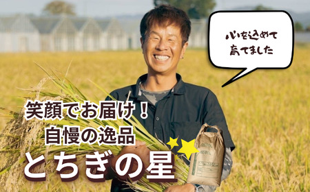 【2026年先行予約】令和大嘗祭献上米！真岡市産 とちぎの星（精米）10kg (CN)