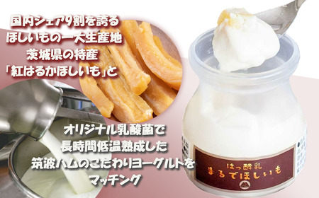 ヨーグルト 筑波ハム まるでほしいも 3個×2箱 ヨーグルト