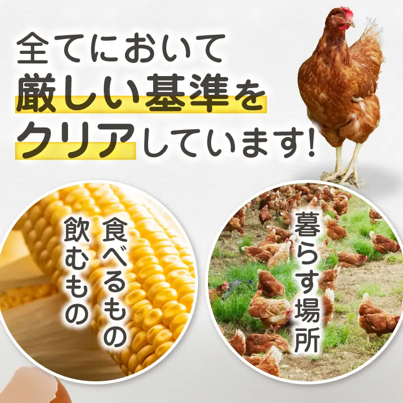 リアルオーガニック卵の定期便 18個×10回　I-502【有機卵 卵 たまご リアルオーガニック卵 有機JAS 人気 定期便 新鮮 たまごかけご飯 すき焼き 鶏卵 国産 オーガニック 玉子 贈答】