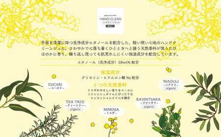【 ミアミモザ 】ミアミモザ ハンドクリーンジェル 100ml 1本 天然香料 が ほのかに香る ギフト プレゼント 贈答 贈り物 美容 コスメ スキンケア ジェル ヒアルロン酸 保湿 天然アロマ 高知県 高知 四万十市 四万十 しまんと 26-67