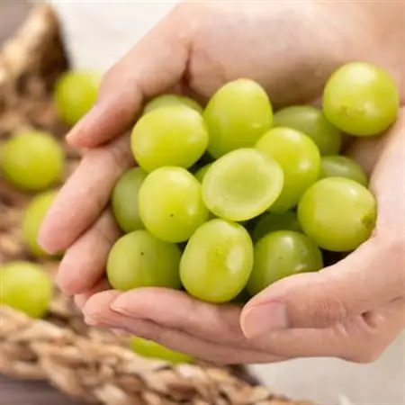 【訳あり】シャインマスカット 2Kg【配送不可地域：離島】【1631232】