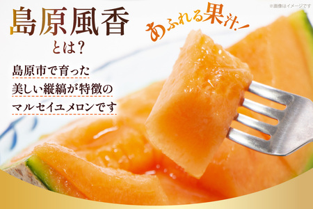 BD201【令和8年度出荷分】マルセイユメロン～島原風香～（3L×2玉） [長崎県 島原市] 