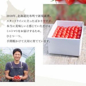 2026年発送 先行予約 金賞受賞 北海道フルーツミニトマト【ジェルバ】1.2kg【Farm of Soul】2023野菜ソムリエサミット金賞 先行受付 トマト とまと ミニトマト 野菜 高糖度 甘い 北海道 比布町 ぴっぷ 1010-001
