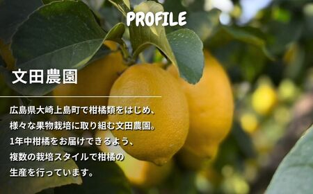 文田農園 の 柑橘 詰め合わせ 約5kg 7~8種 【2027年2月中旬発送開始】 