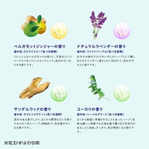 SA2634　花王バブ ピースフルハーブ　12錠入×6箱