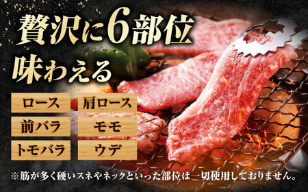 【訳あり】佐賀牛 焼肉用 切り落とし 500g / 有限会社片岡精肉店 [41AEAC004]