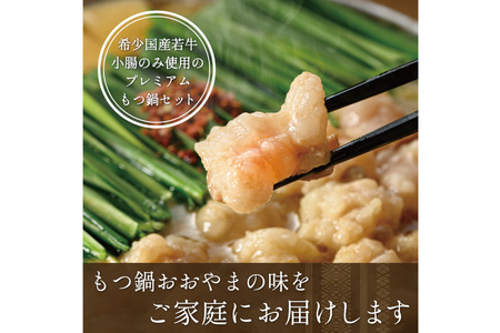もつ鍋 6回 定期便 おおやま 博多もつ鍋 みそ味 しょうゆ味 交互発送 各2人前 総計12人前 [ラブ 福岡県 筑紫野市 21760981]