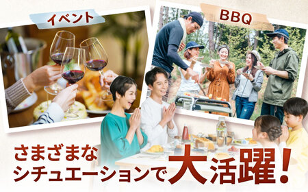厳選佐賀牛ヒレ1本5kg / 有限会社片岡精肉店 [41AEAC013]