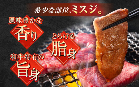 佐賀牛ミスジ焼肉500g / ミスジ  片岡精肉店  [41AEAC014]