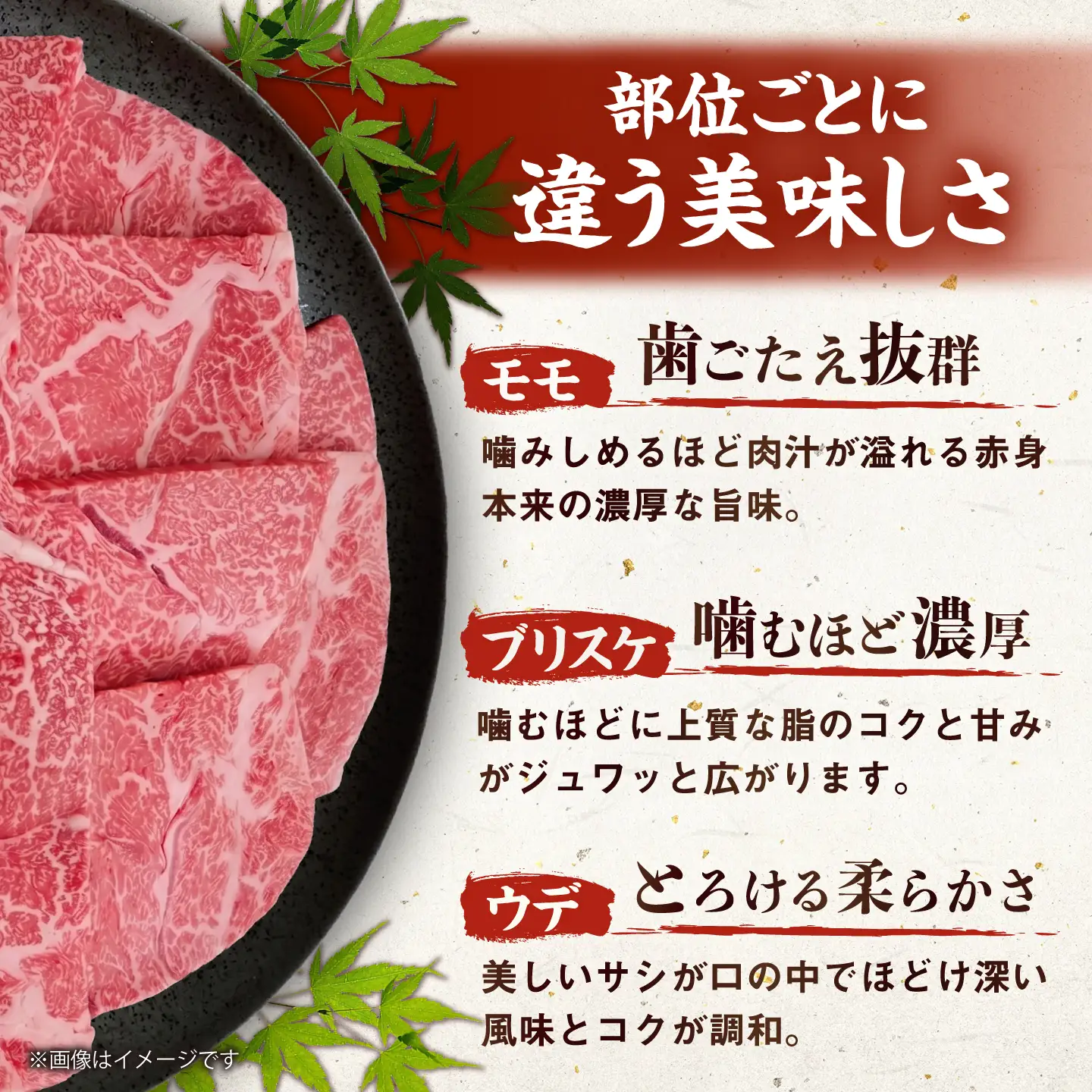 厳選佐賀牛 赤身ステーキ500g / 有限会社片岡精肉店 [41AEAC015]