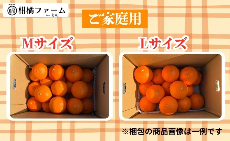 【2026年先行予約】みかん 愛果28号 3kg ご家庭用 紅まどんなと同一品種 農園直送【12月上旬から順次発送予定】 愛媛 数量限定 愛媛県産 人気 柑橘 国産 フルーツ 伊予市｜B443