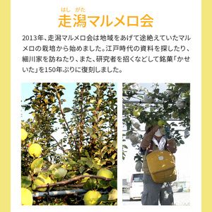 走潟マルメロ会 「時献上」(かせいた・マルメロペースト) _U87-0003