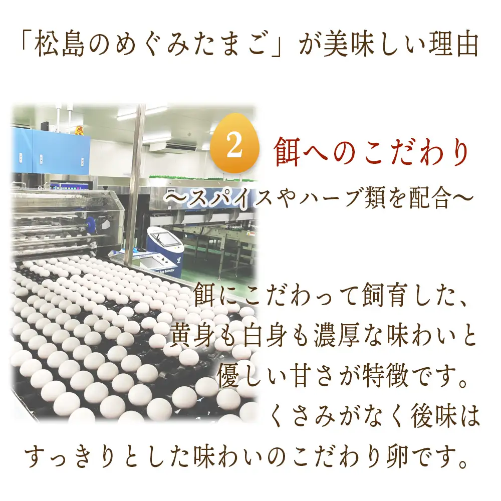松島のめぐみたまご 20個入り 12ヵ月定期便 No.166