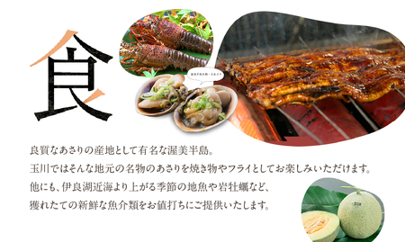 愛知渥美半島 伊良湖温泉 魚と貝のうまい宿 玉川 利用券 10万円分 旅館 旅行券 宿泊券 観光 愛知県 田原市