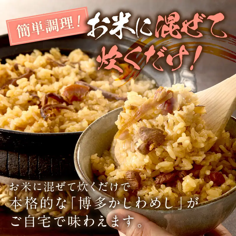 ＼ポスト投函／炊き込みご飯の素 博多かしわめし 2-3人前 (2合用 109g)【Z3-049】