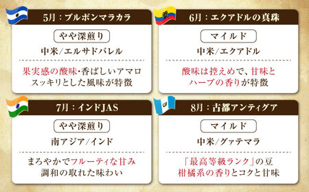 【全12回】江田島シティローストブレンドセット コーヒー豆 全13種 コーヒー[XBE080]