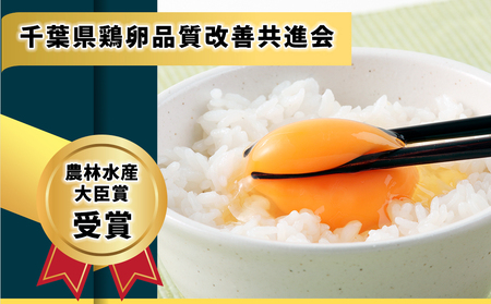ぷりんセス・エッグ 30個『北川鶏園 房総のあおぞら農場』｜鶏卵 [0250]