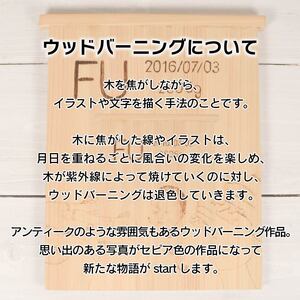 遊山箱 YOU-SUN-箱 ウッドバーニング 遊山箱 【徳島県共通返礼品】