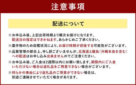 福岡産【春】フルーツ専門店が選んだ あまおう 6パック いちご 苺 果物 フルーツ 福岡 太宰府【2027年2月上旬～3月下旬発送予定】