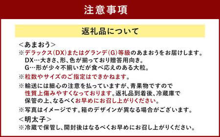 あまおう＆ふくや 味の明太子100g 苺 いちご イチゴ めんたいこ セット【2026年12月上旬～2027年3月下旬発送予定】