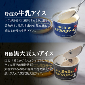 アイスクリーム 丹波篠山素材  12個(4種類×3個)  アイスクリーム KMH007 