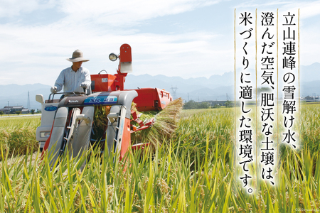 米 令和7年 ばんどり米 コシヒカリ 精米 20kg ( 5kg ×4袋) 一等米 [農事組合法人東和 富山県 舟橋村 57050232] お米 白米 美味しい こしひかり 富山 農家