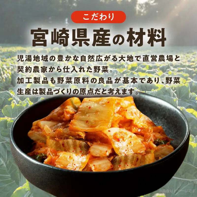 白菜キムチ 計1袋 (1kg) 漬物 おかず 野菜 加工品 国産_T025-0405