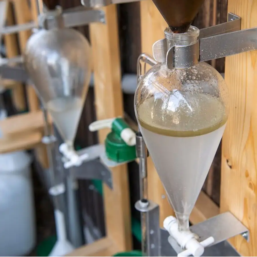 河内晩柑のエッセンシャルオイル 「和悠香」5ml  和精油 