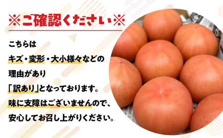 ≪先行予約≫ 訳ありトマト 約1kg とまと トマト tomato 野菜 トマト トマト トマト トマト