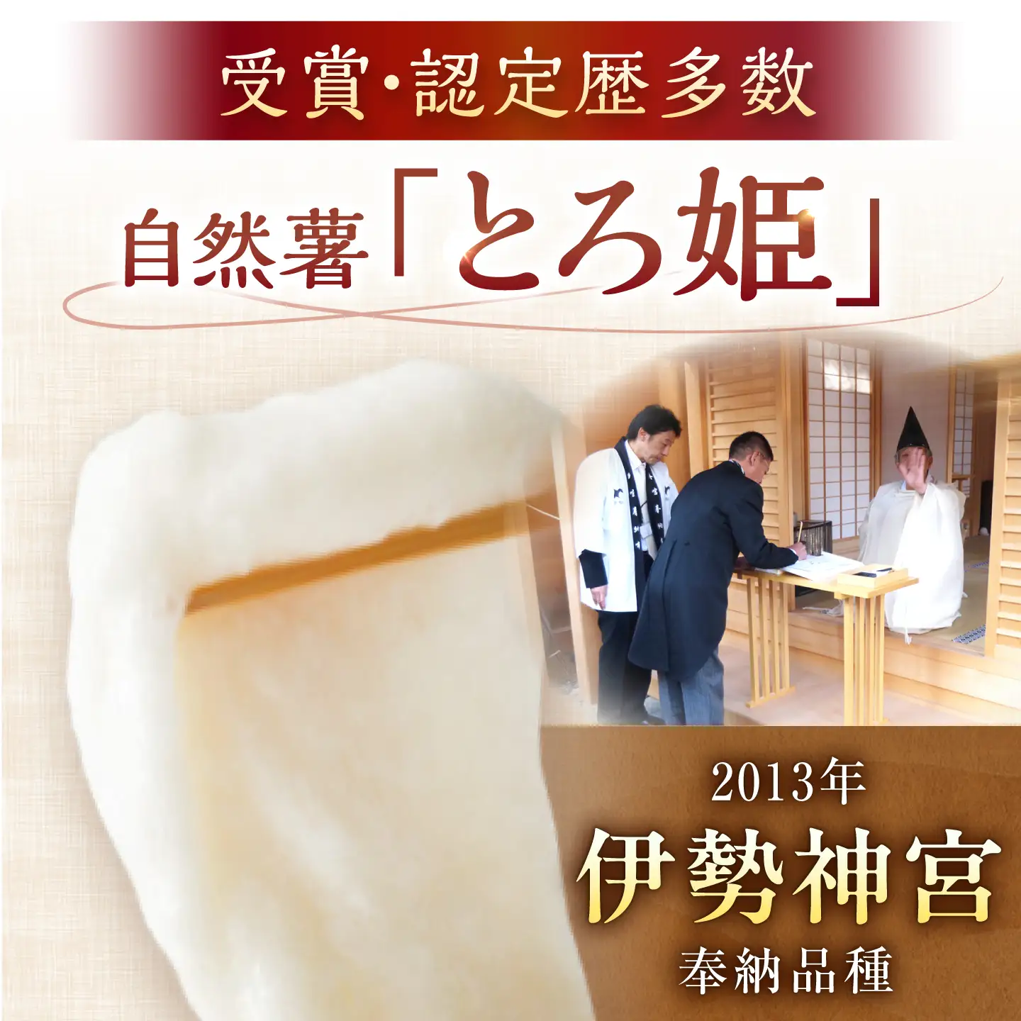 自然薯 冷凍 とろろ 3パック（計540g）/ 恵那市 / 水戸屋 [AUFZ003] とろろ