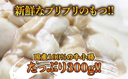 博多 明太醤油もつ鍋 セット 2-3人前[BGAF010] めんたいチューブ