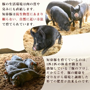 【無添加】【ギフト対応】「福別府農場」鹿児島黒豚しゃぶしゃぶ（バラ）計400g(200g×2P) 豚ばら 薄切り 黒豚 国産 贈り物 プレゼント 冷凍 お中元 お歳暮 冷しゃぶ しゃぶしゃぶ 鍋 生姜焼き 豚汁 a2-104