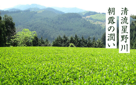 【全6回定期便】八女茶 深蒸し高級 1袋[BGAF016] 八女茶