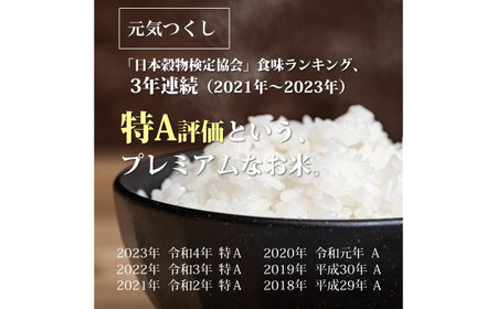 福岡県産 元気つくし 白米 10kg (5kg×2袋)[BGAF019]元気つくし
