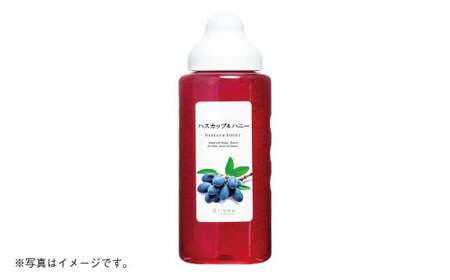 熊本 杉養蜂園 【ゆず蜜×ハスカップ】果汁入り はちみつ 500g 2種 計1kg 食べ比べ 蜂蜜