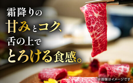 こだわりの馬刺し 霜降りブロック 約300g(約150g×2ブロック) 馬刺し醤油付き 【フードサービス むらかみ】[ZFE002]